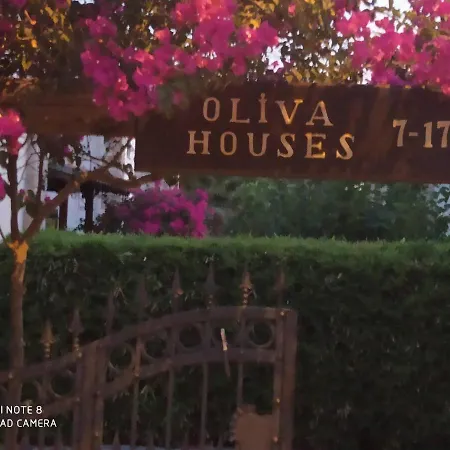 Olivia 2 Worth To Look At Hotel